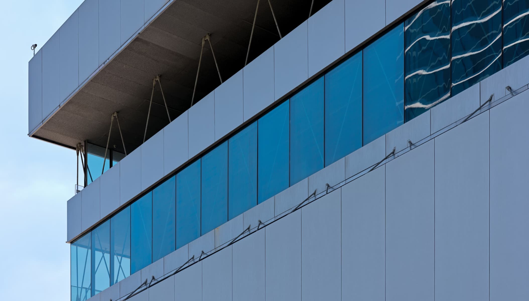 College students studying